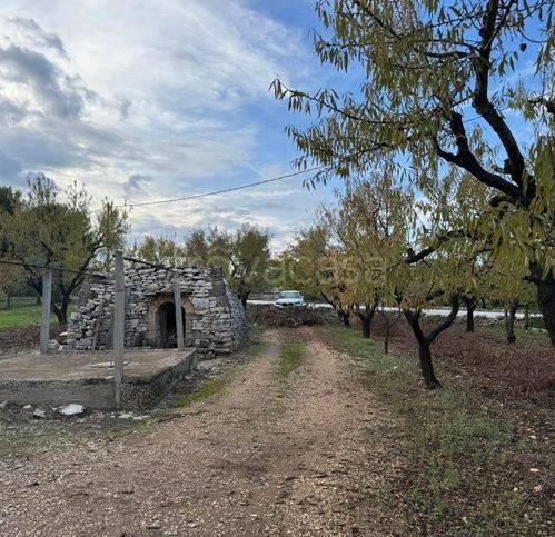 immagine annuncio 1 di 4