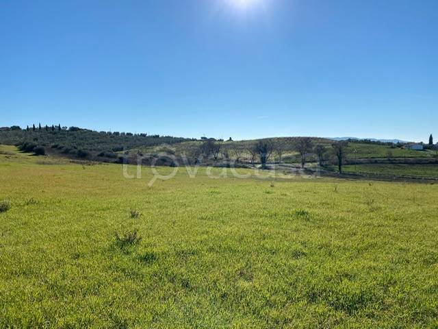 immagine annuncio 4 di 8