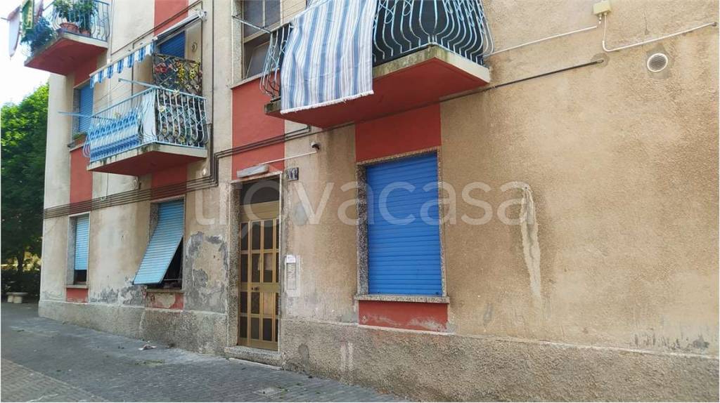 immagine annuncio 3 di 11