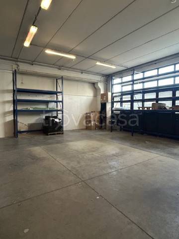 immagine annuncio 2 di 11