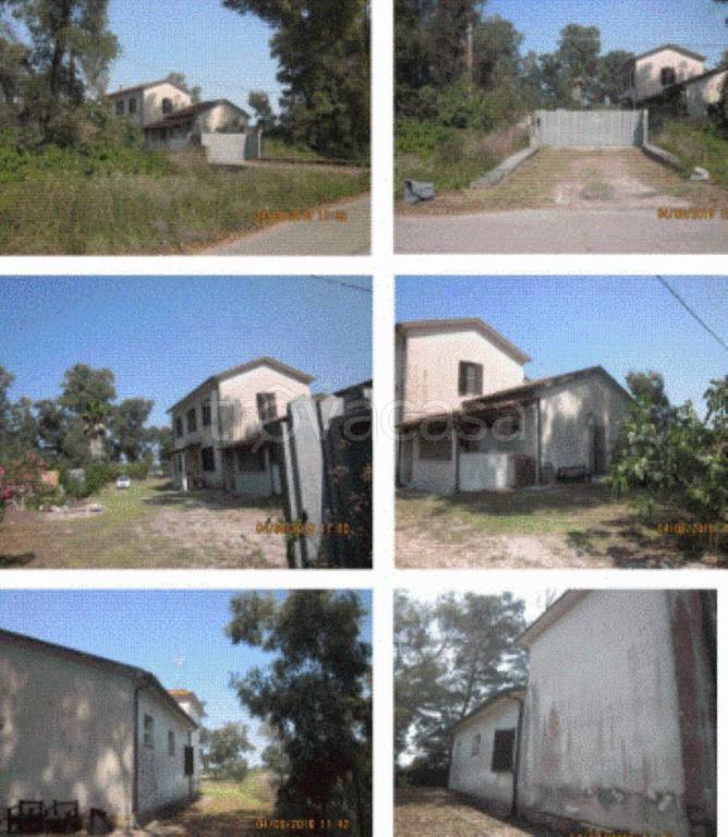 immagine annuncio 10 di 13