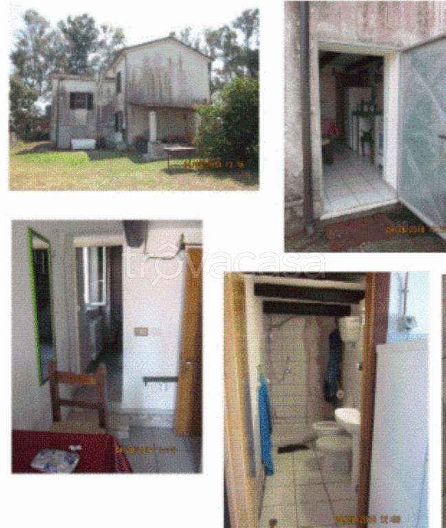 immagine annuncio 12 di 13