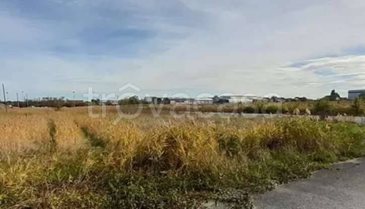 immagine annuncio 5 di 14