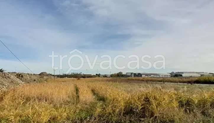 immagine annuncio 6 di 14