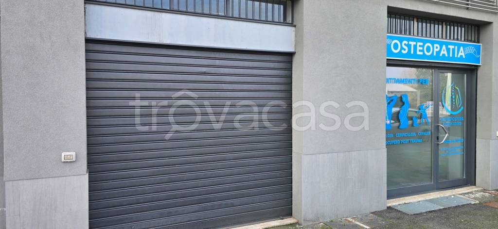 immagine annuncio 9 di 11