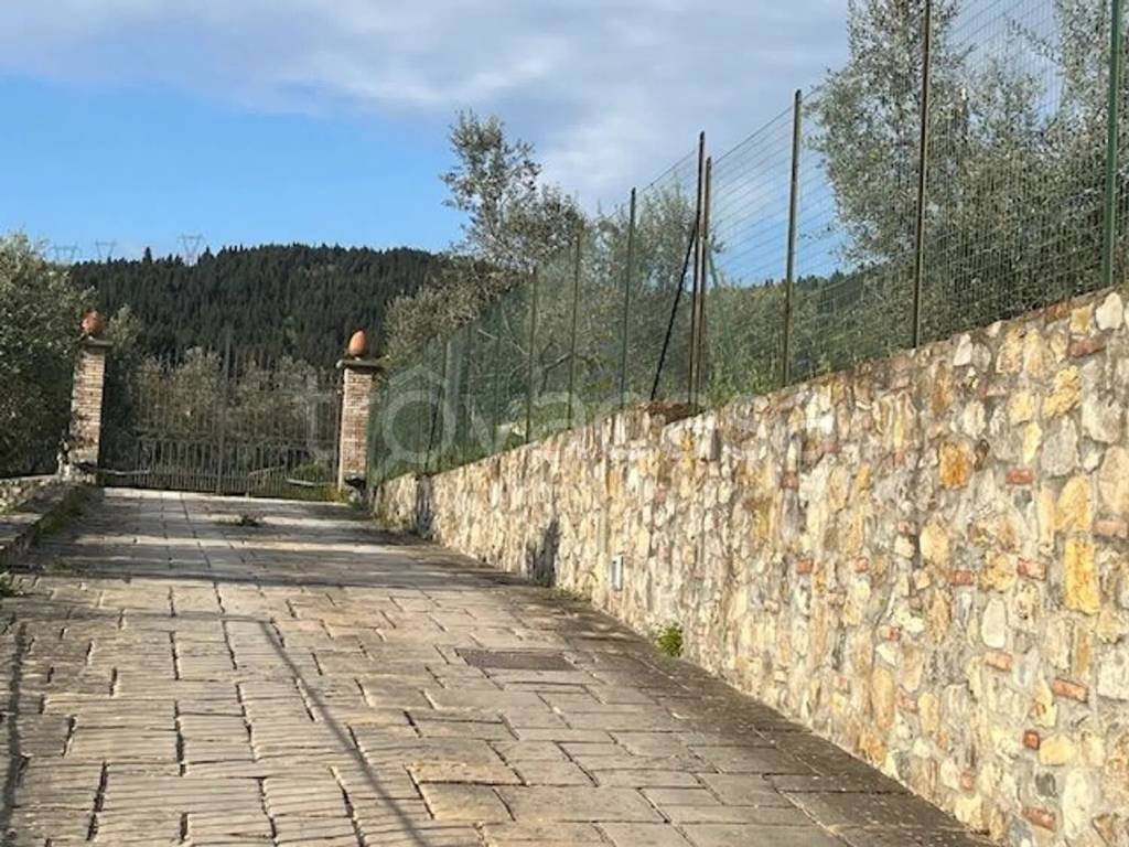 immagine annuncio 8 di 14