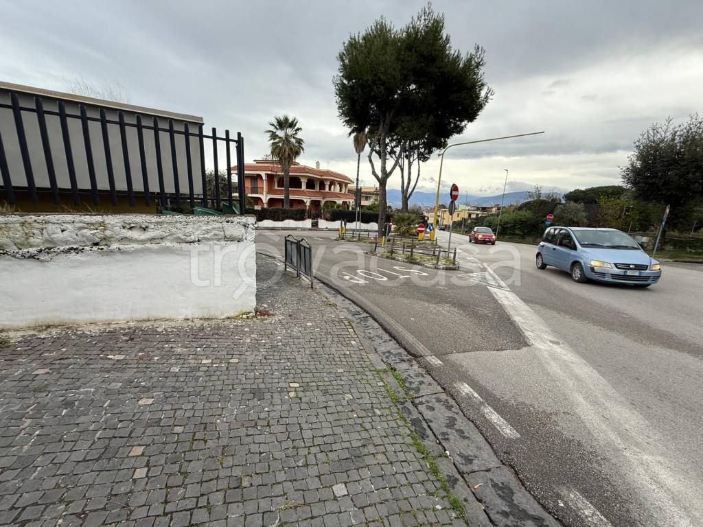 immagine annuncio 6 di 8