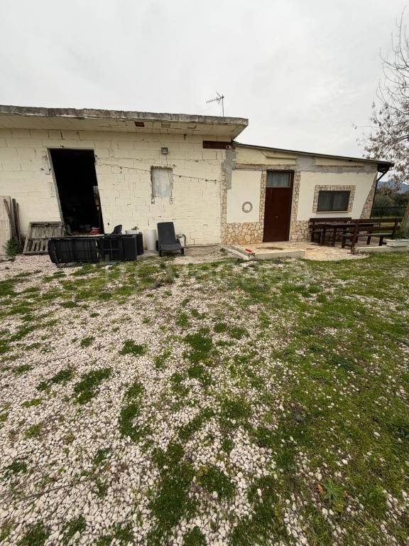 immagine annuncio 3 di 13