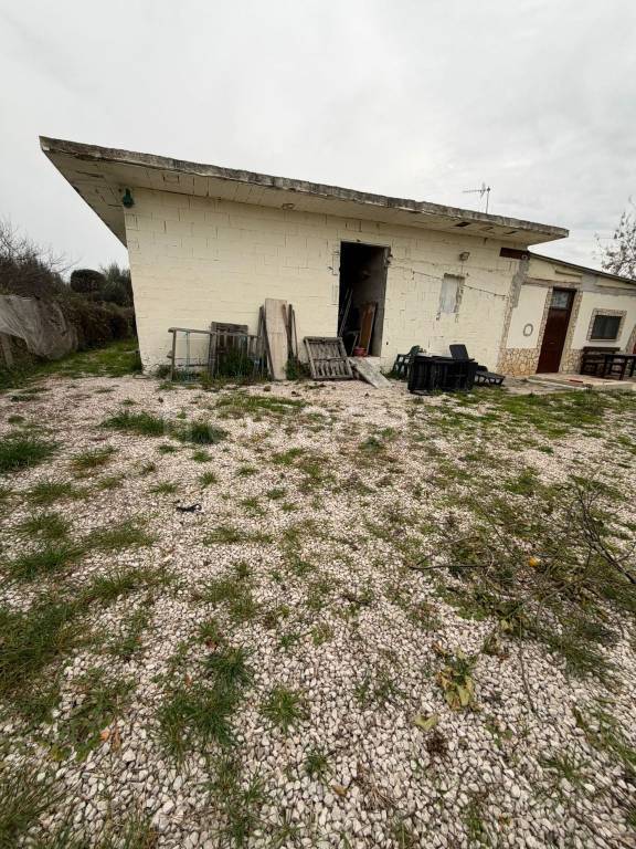 immagine annuncio 6 di 13