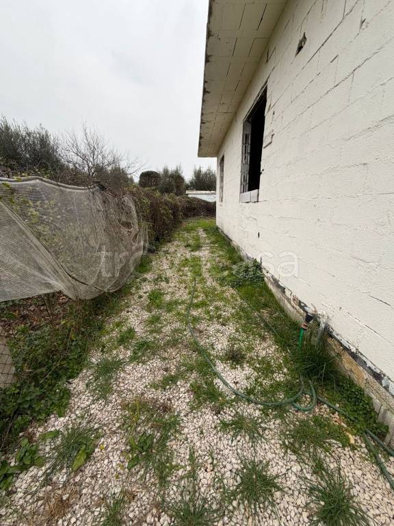 immagine annuncio 7 di 13