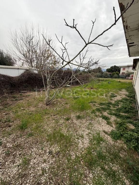 immagine annuncio 8 di 13