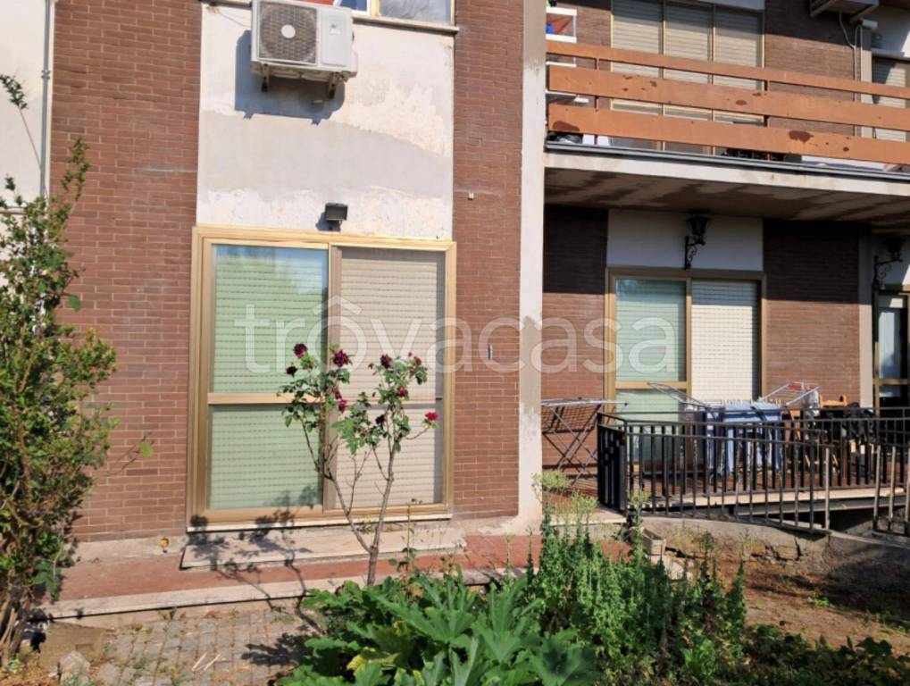 immagine annuncio 3 di 12