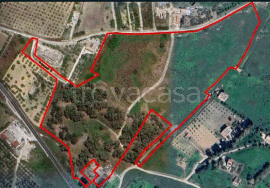 immagine annuncio 11 di 12