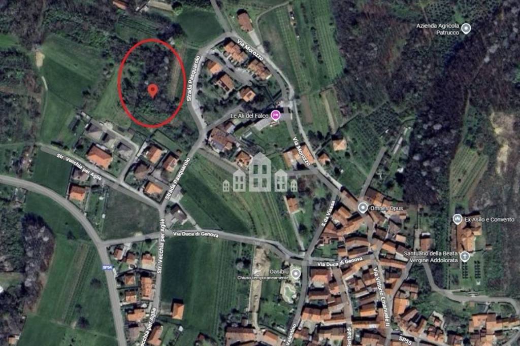 immagine annuncio 10 di 13