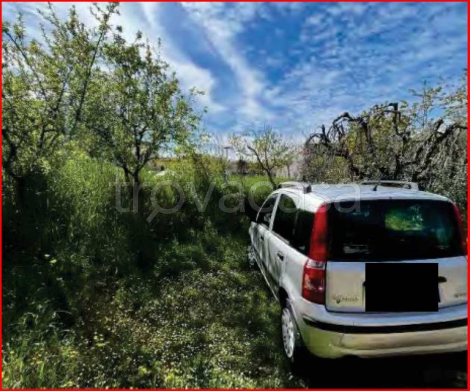 immagine annuncio 12 di 14