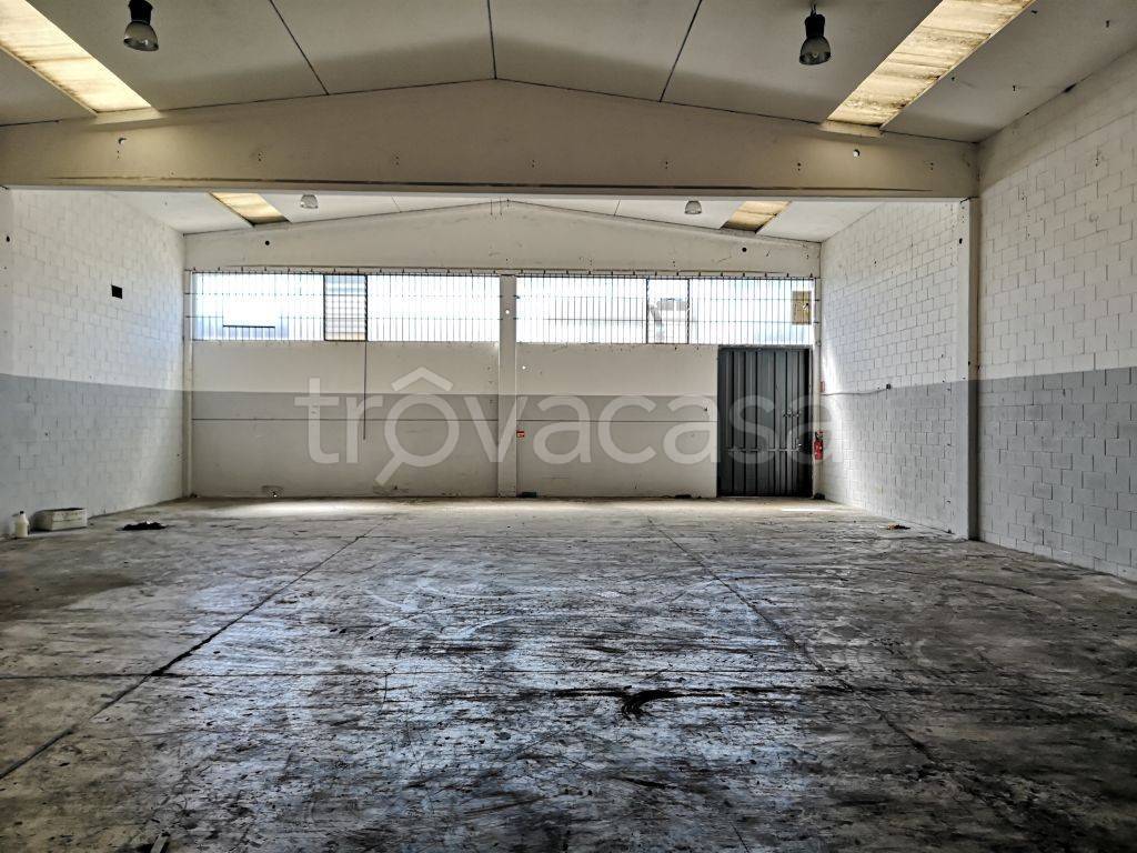 immagine annuncio 2 di 6