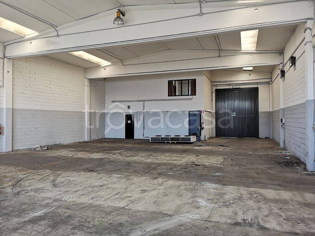 immagine annuncio 3 di 6