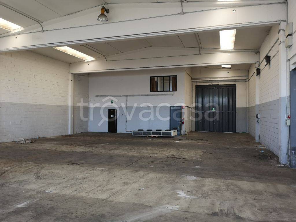 immagine annuncio 4 di 6