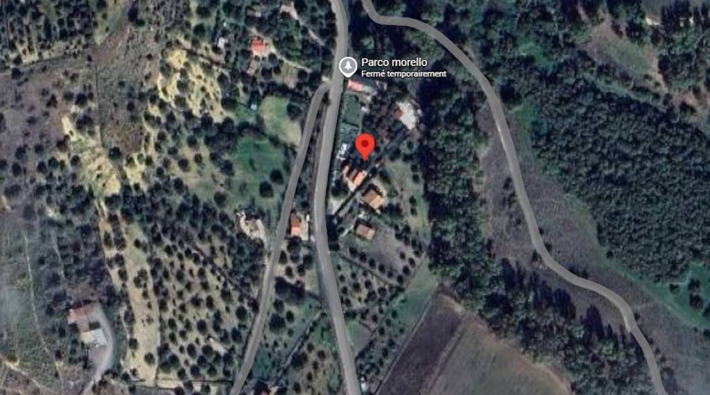 immagine annuncio 2 di 11