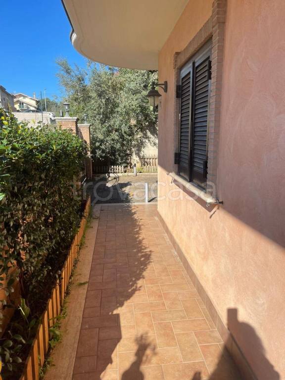 immagine annuncio 5 di 8