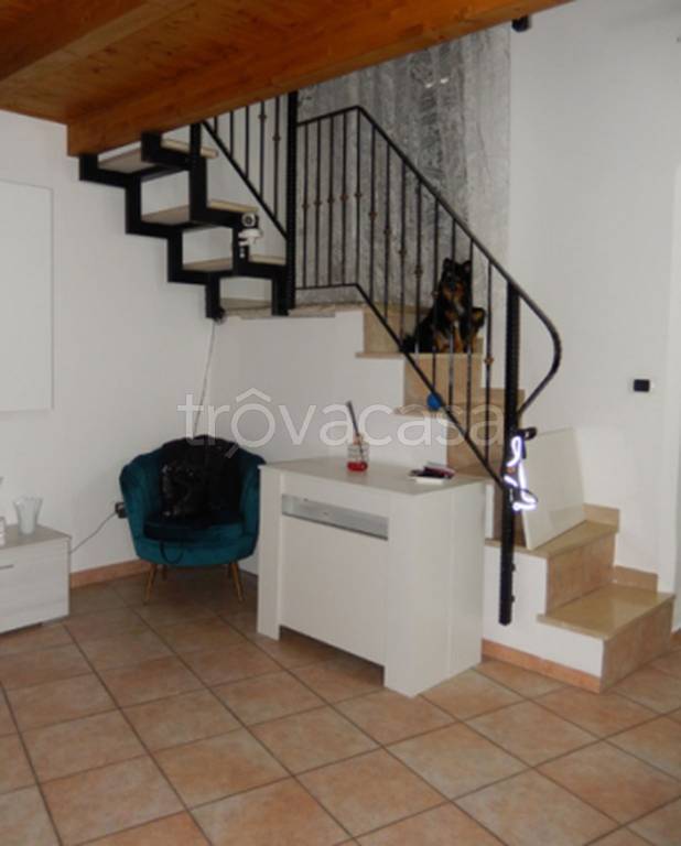 immagine annuncio 3 di 12