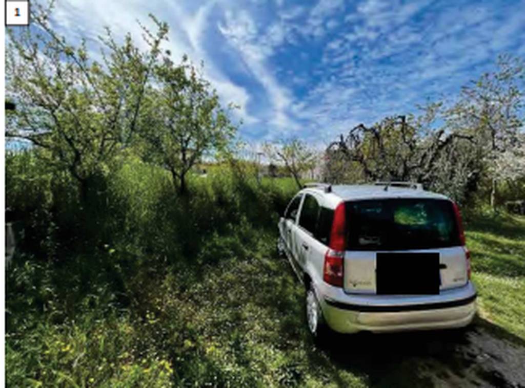 immagine annuncio 1 di 11