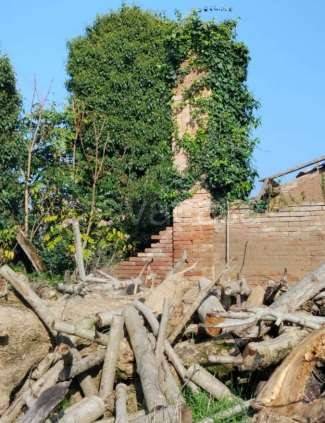 immagine annuncio 5 di 12