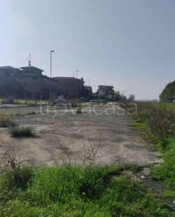 immagine annuncio 9 di 12