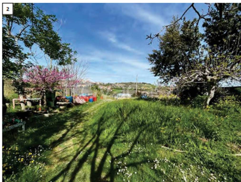 immagine annuncio 3 di 11