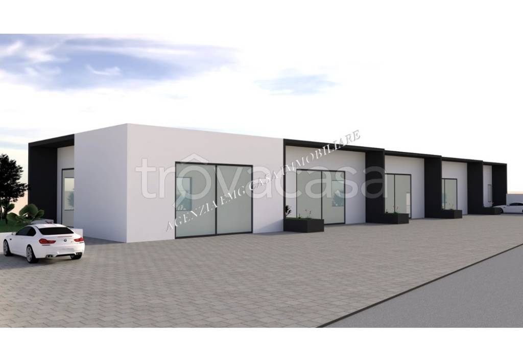 immagine annuncio 10 di 15