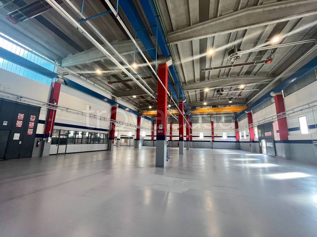 immagine annuncio 10 di 15