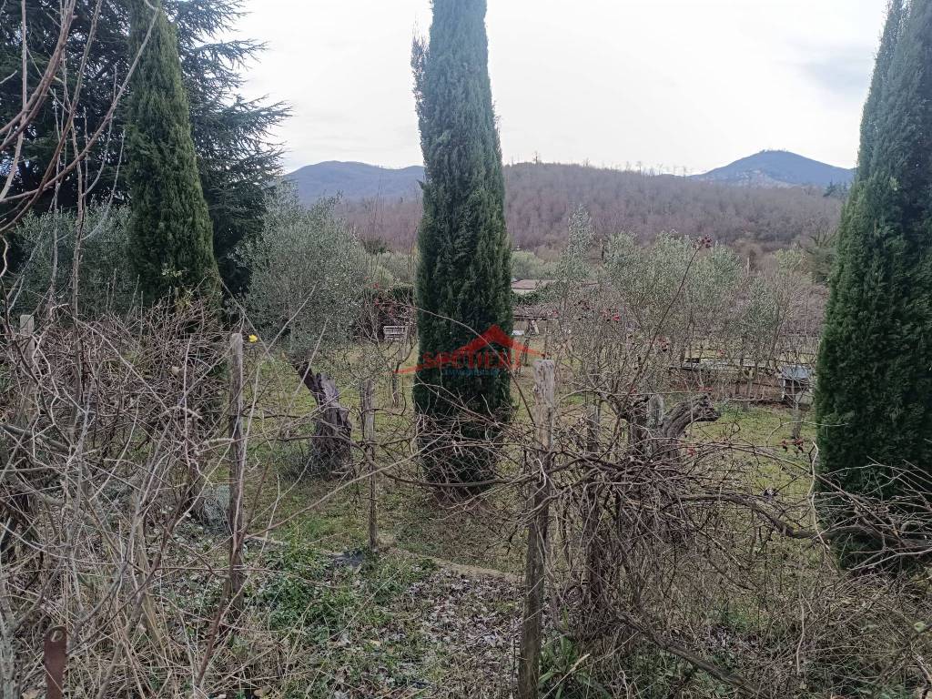 immagine annuncio 3 di 6