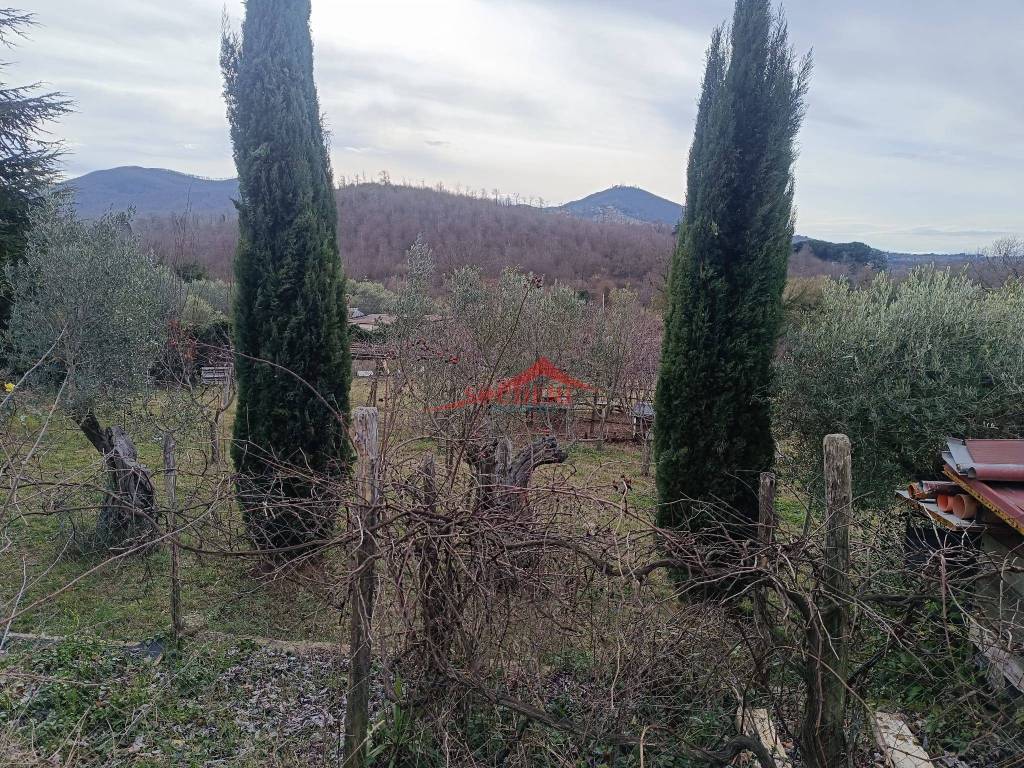 immagine annuncio 4 di 6