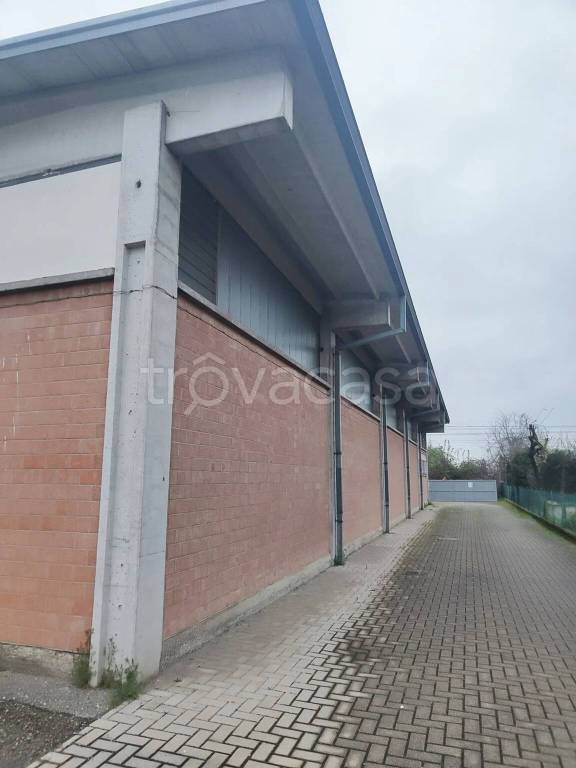 immagine annuncio 1 di 7