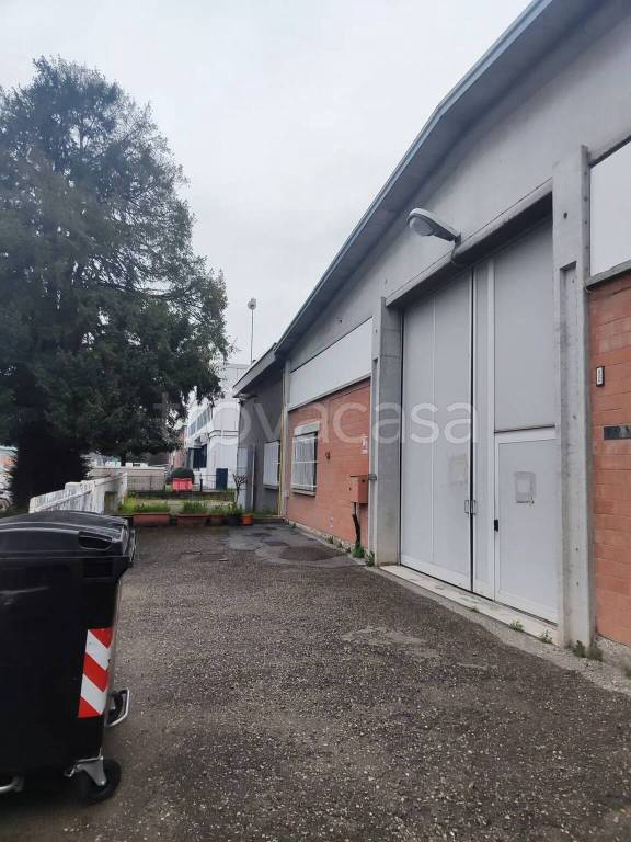 immagine annuncio 2 di 7