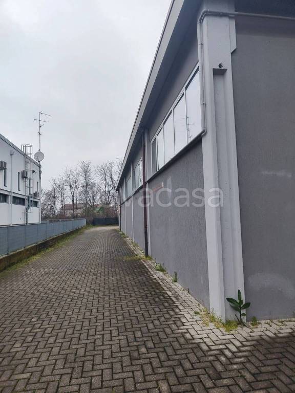 immagine annuncio 3 di 7