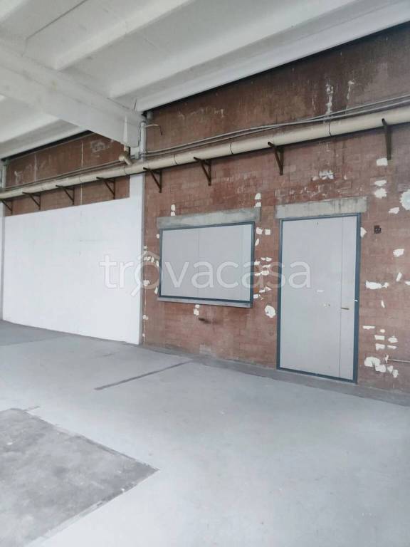 immagine annuncio 4 di 7