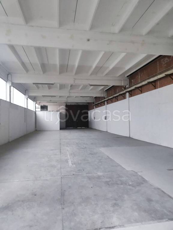 immagine annuncio 5 di 7