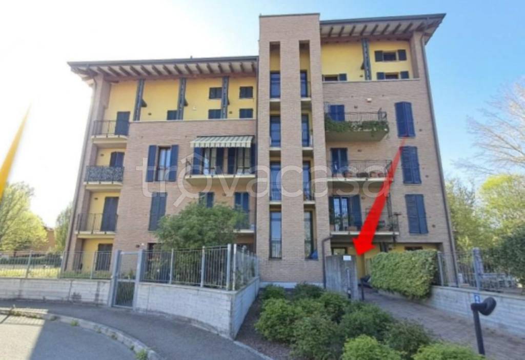 immagine annuncio 3 di 15