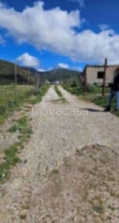 immagine annuncio 8 di 11