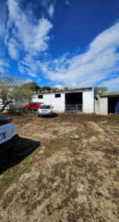 immagine annuncio 10 di 11