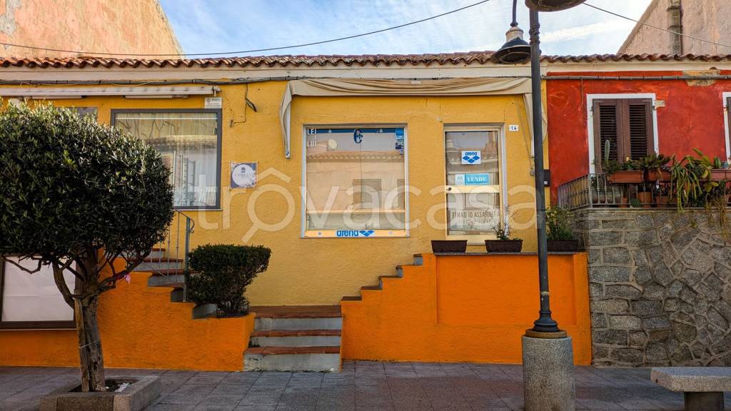 immagine annuncio 1 di 14