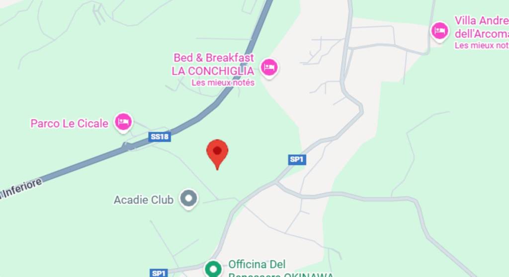 immagine annuncio 3 di 13