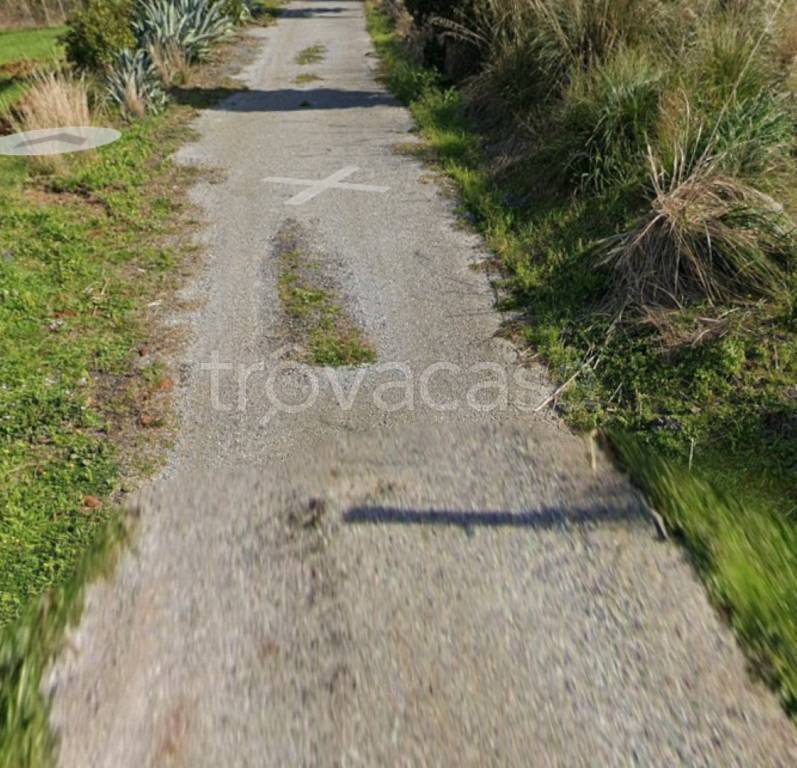 immagine annuncio 10 di 13