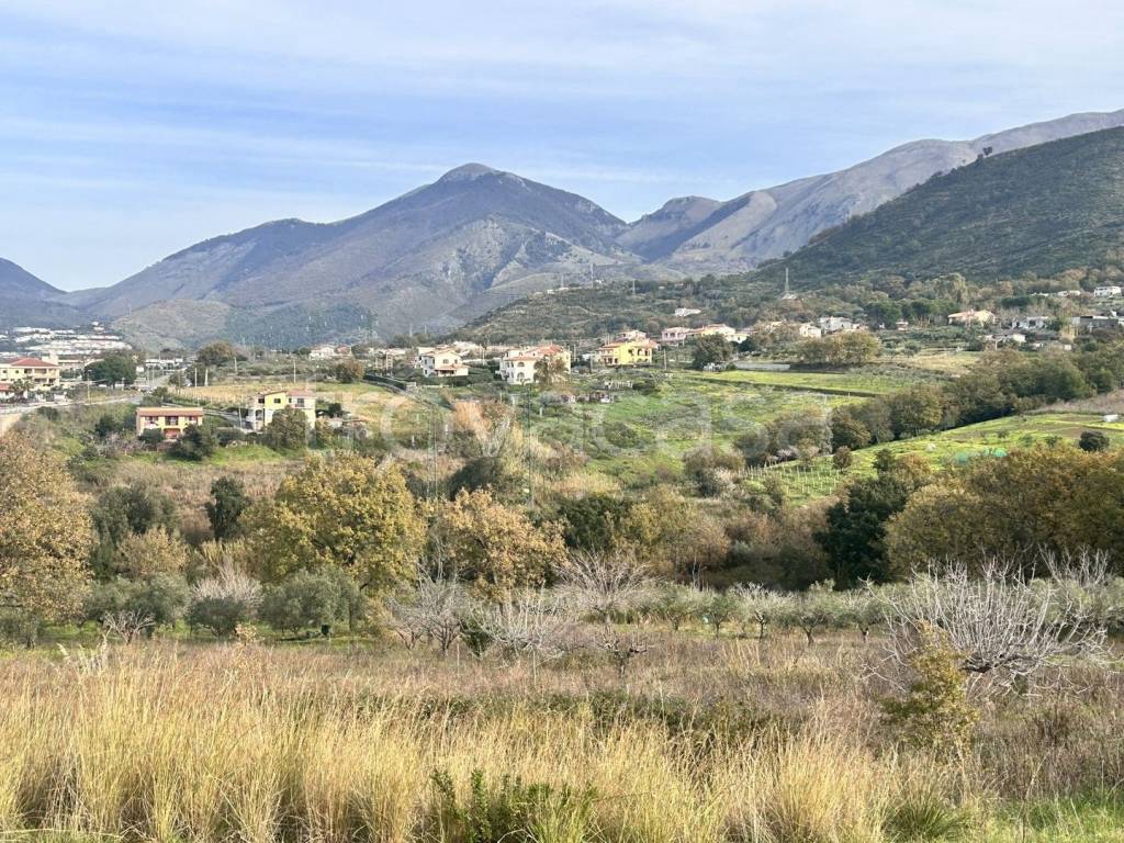 immagine annuncio 11 di 13