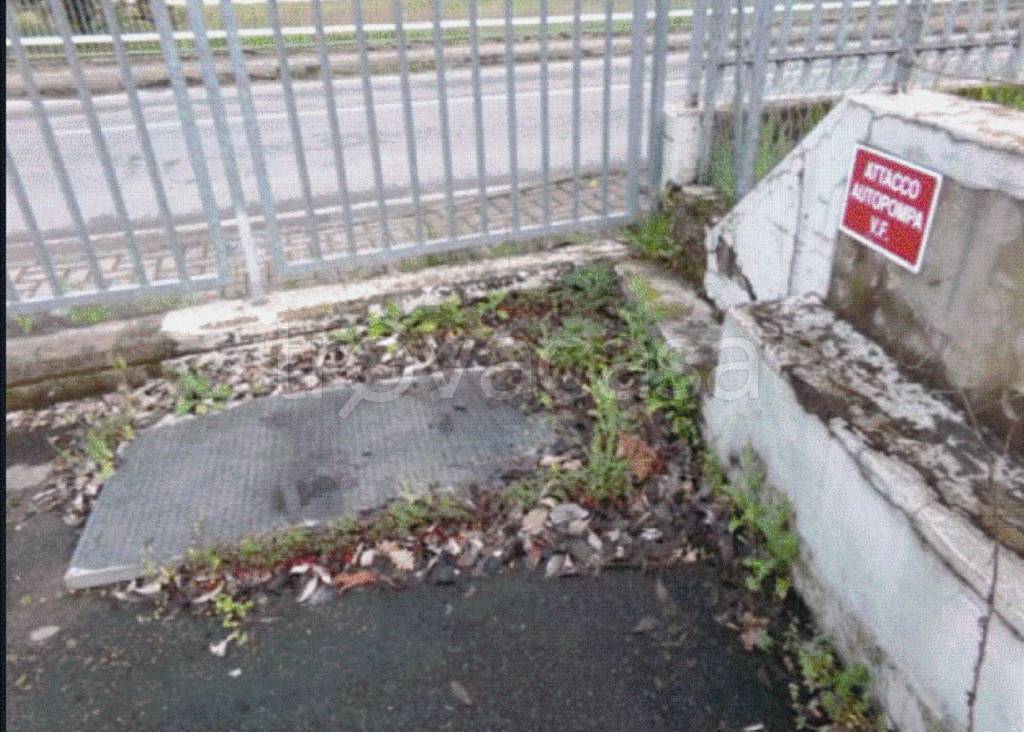 immagine annuncio 2 di 8