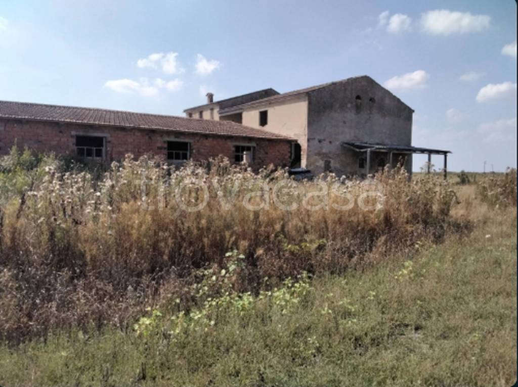 immagine annuncio 8 di 11