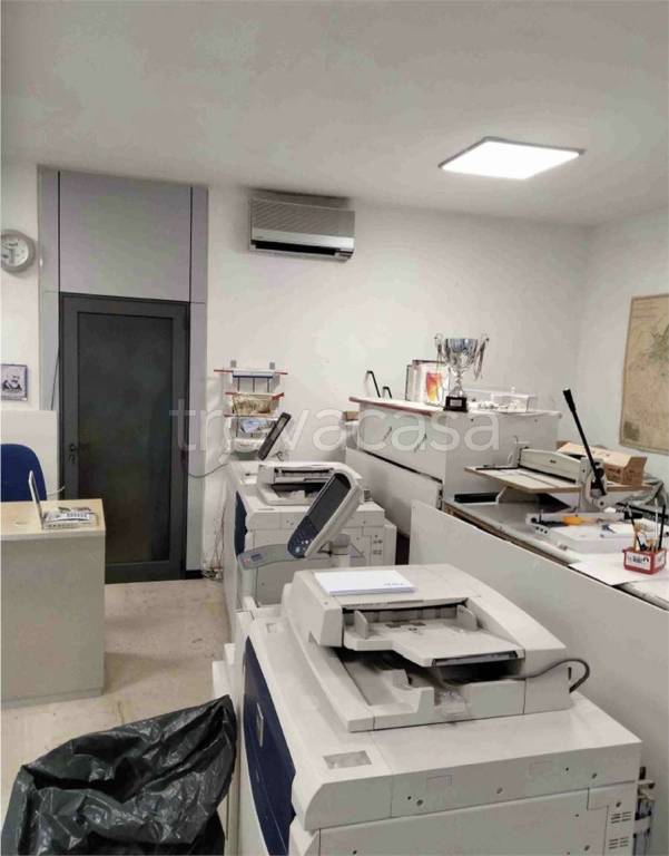 immagine annuncio 2 di 6