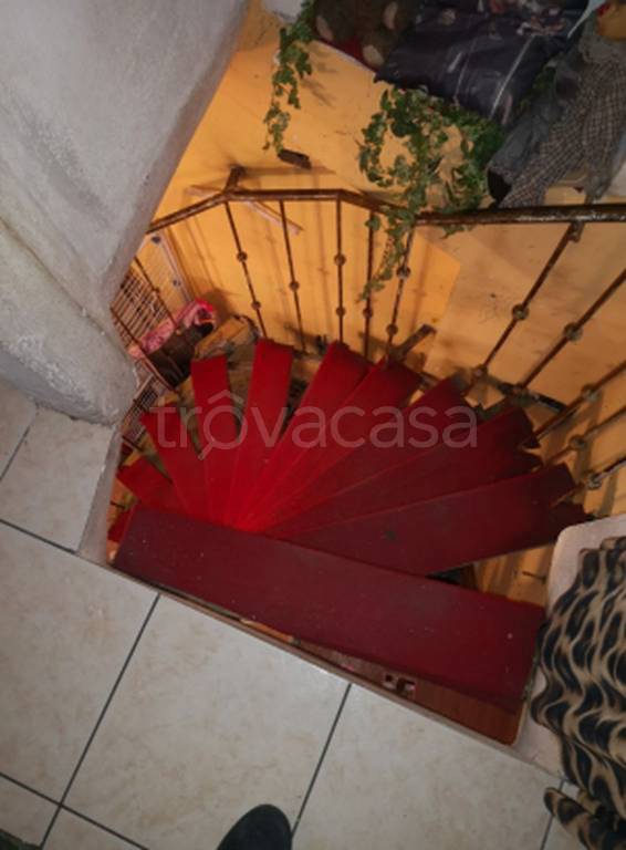 immagine annuncio 11 di 14