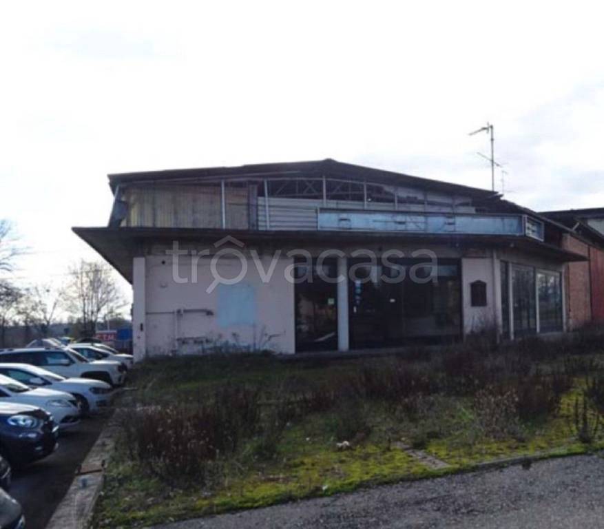 immagine annuncio 2 di 11